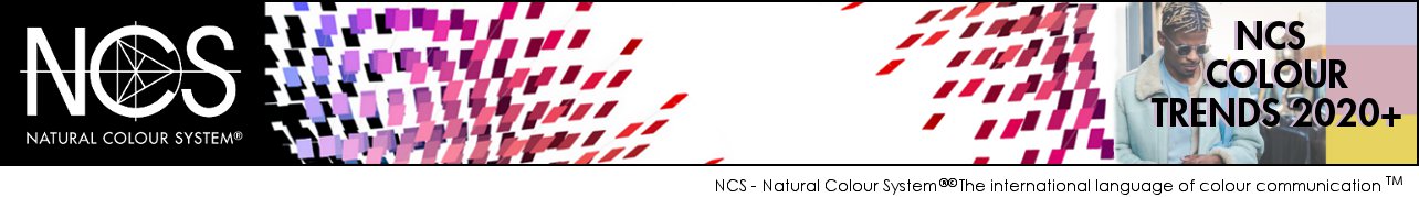 NCS Newsletter Header